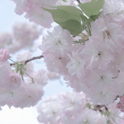 梅江FurryQQ群介绍